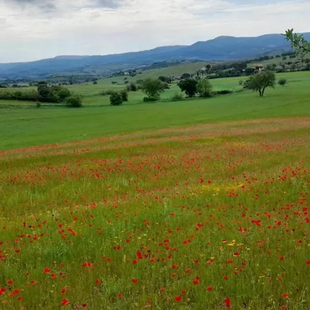 Apartmán La Speranza